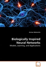 Biologically Inspired Neural Networks. Models, Learning, and Applications