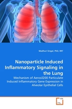 Nanoparticle Induced Inflammatory Signaling in the Lung. Mechanism of Aerosil200 Particulate Induced Inflammatory Gene Expression in Alveolar Epithelial Cells