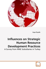 Influences on Strategic Human Resource Development Practices. A Survey from MNE Subsidiaries in Turkey