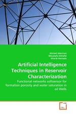 Artificial Intelligence Techniques in Reservoir Characterization. Functional networks softsensor for formation porosity and water saturation in oil Wells