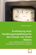 Erarbeitung einer Handlungsempfehlung fuer den Einsatz von Smart Metern. bei der DREWAG NETZ GmbH auf Grundlage der gesetzlichen Vorgaben