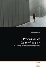 Processes of Gentrification. A Survey of Brooklyn Residents