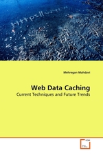 Web Data Caching. Current Techniques and Future Trends