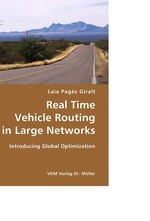 Real Time Vehicle Routing in Large Networks. Introducing Global Optimization