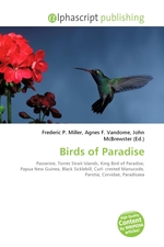 Birds of Paradise