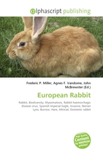 European Rabbit