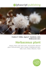 Herbaceous plant