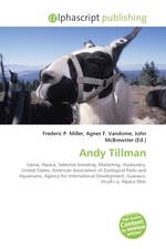 Andy Tillman