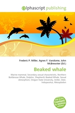 Beaked whale