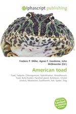 American toad