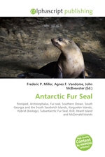 Antarctic Fur Seal