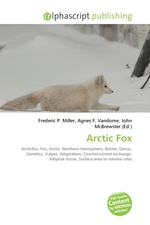 Arctic Fox