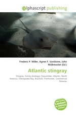 Atlantic stingray