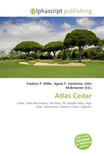 Atlas Cedar