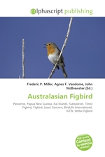 Australasian Figbird