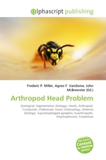 Arthropod Head Problem