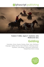 Gelding