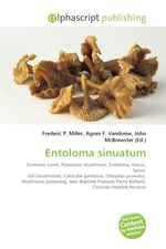 Entoloma sinuatum