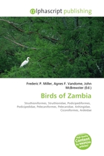 Birds of Zambia