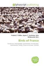 Birds of France