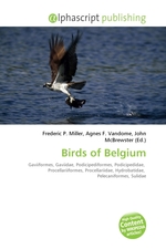 Birds of Belgium