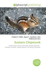 Eastern Chipmunk