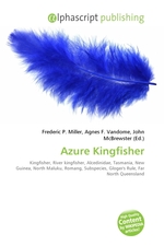 Azure Kingfisher