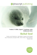 Baikal Seal