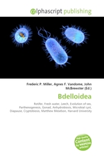 Bdelloidea