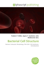 Bacterial Cell Structure