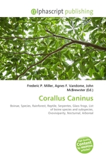 Corallus Caninus