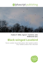 Black-winged Lovebird