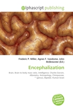 Encephalization