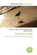 Common Crane