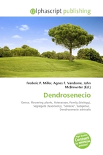 Dendrosenecio