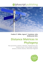 Distance Matrices in Phylogeny