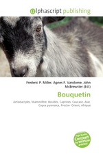 Bouquetin