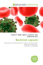 Bacterial capsule