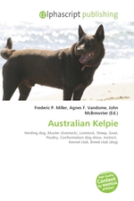 Australian Kelpie