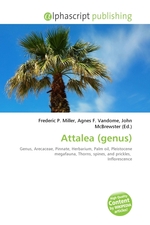 Attalea (genus)