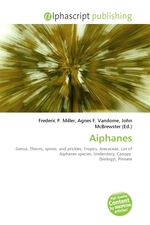 Aiphanes