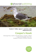 Coopers Hawk