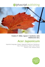 Acer Japonicum