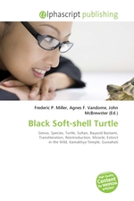 Black Soft-shell Turtle