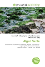 Algue Verte