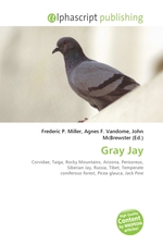 Gray Jay