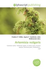 Artemisia vulgaris