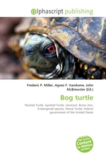 Bog turtle