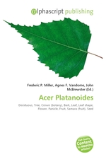 Acer Platanoides