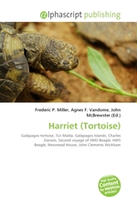 Harriet (Tortoise)